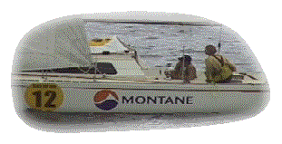 focused skipper.gif (15033 bytes)