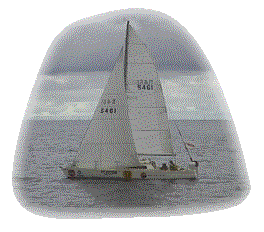 montane horizon.gif (16536 bytes)